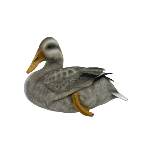 Grey Duck By Famond Home-Famond R&D Factory