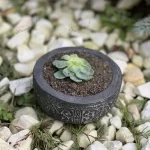 Natural Stone-like Pot made of Cement Rattan Shapes Cute Vintage Design for Succulent Plants