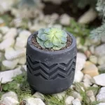 Natural Stone-like Pot made of Cement Rattan Shapes Cute Vintage Design for Succulent Plants