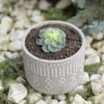 Natural Stone-like Pot made of Cement Rattan Shapes Cute Vintage Design for Succulent Plants