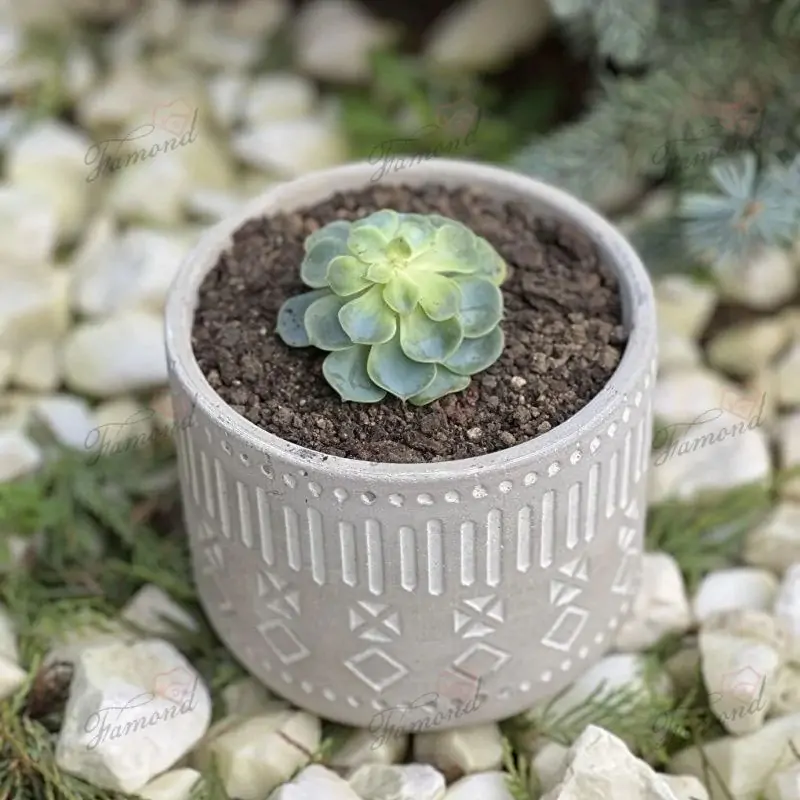 Natural Stone-like Pot made of Cement Rattan Shapes Cute Vintage Design for Succulent Plants