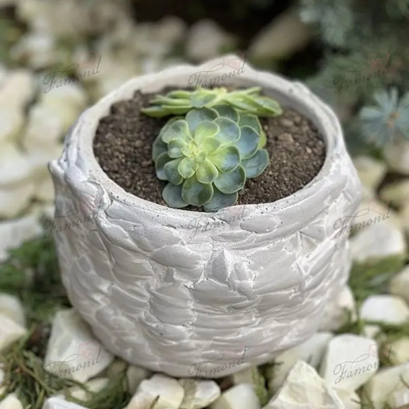 Natural Stone-like Pot made of Cement Rattan Shapes Cute Vintage Design for Succulent Plants