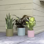 Colourful Indoor and Outdoor Small Plant Pots Cylindrical Short Garden Planter Made by Polyresin Eco-friendly