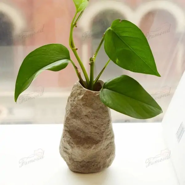 Stylish Home Decor Realistic Cement & Resin Decorative Stone-Like Vases for Indoor & Outdoor Use