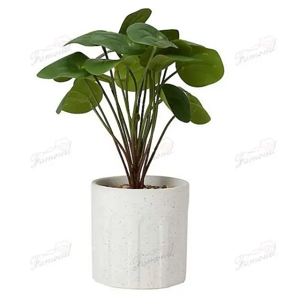 Unique White Cement Planter with Black Speckles - Chic and Modern Indoor Flower Pot for Your Home Decor