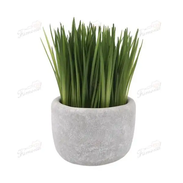 High-Quality Resin Planter from China's Top Factory - Handcrafted Light Gray with Natural Faux Weathered Texture