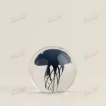 Enchanting Deep Blue Jellyfish in Clear Sphere Elegant Home Decor Ball