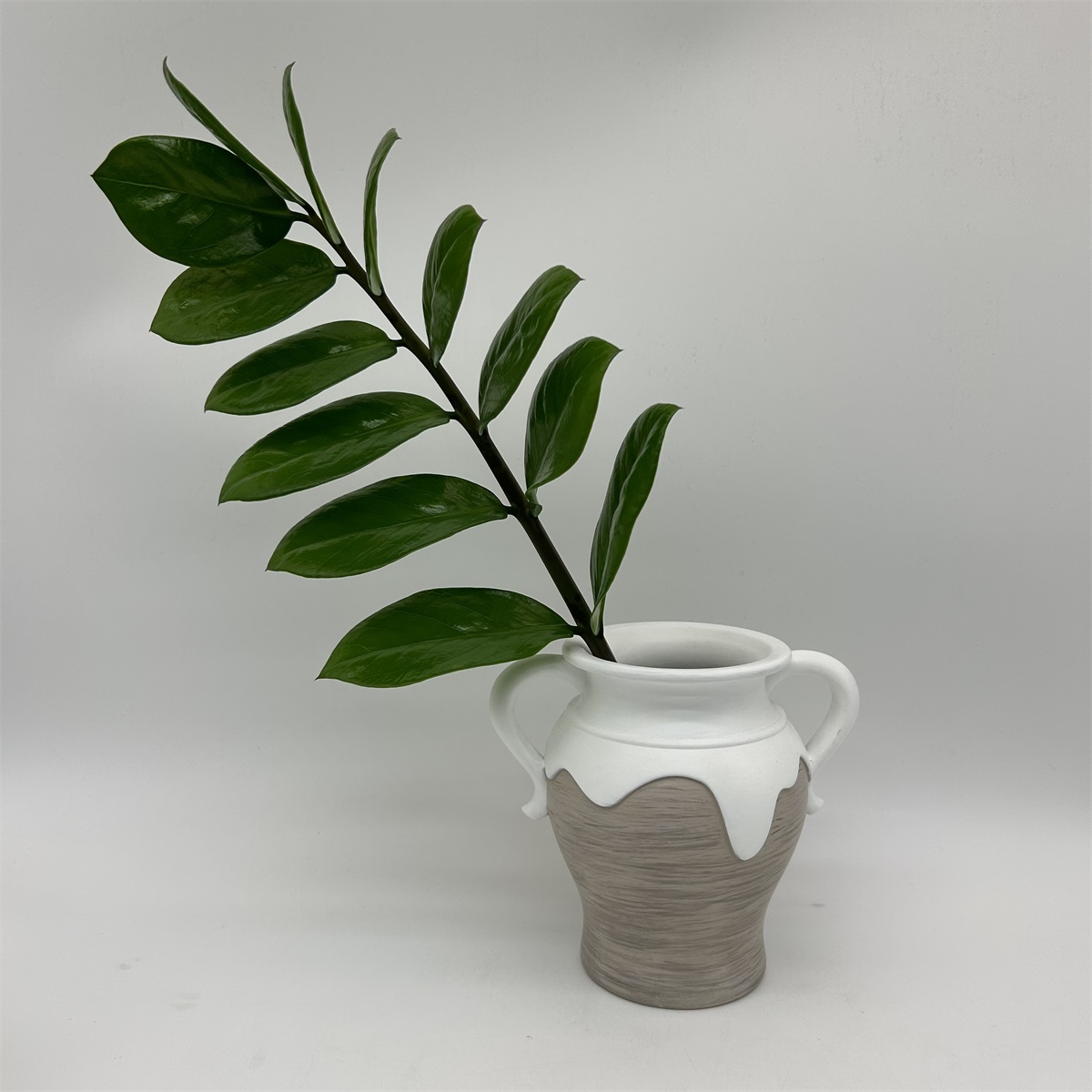 Milk Vase By Famond Home