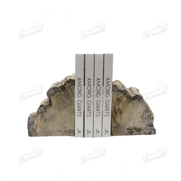 Modern Minimalist Style Bookends - Stylish OX Letter Design